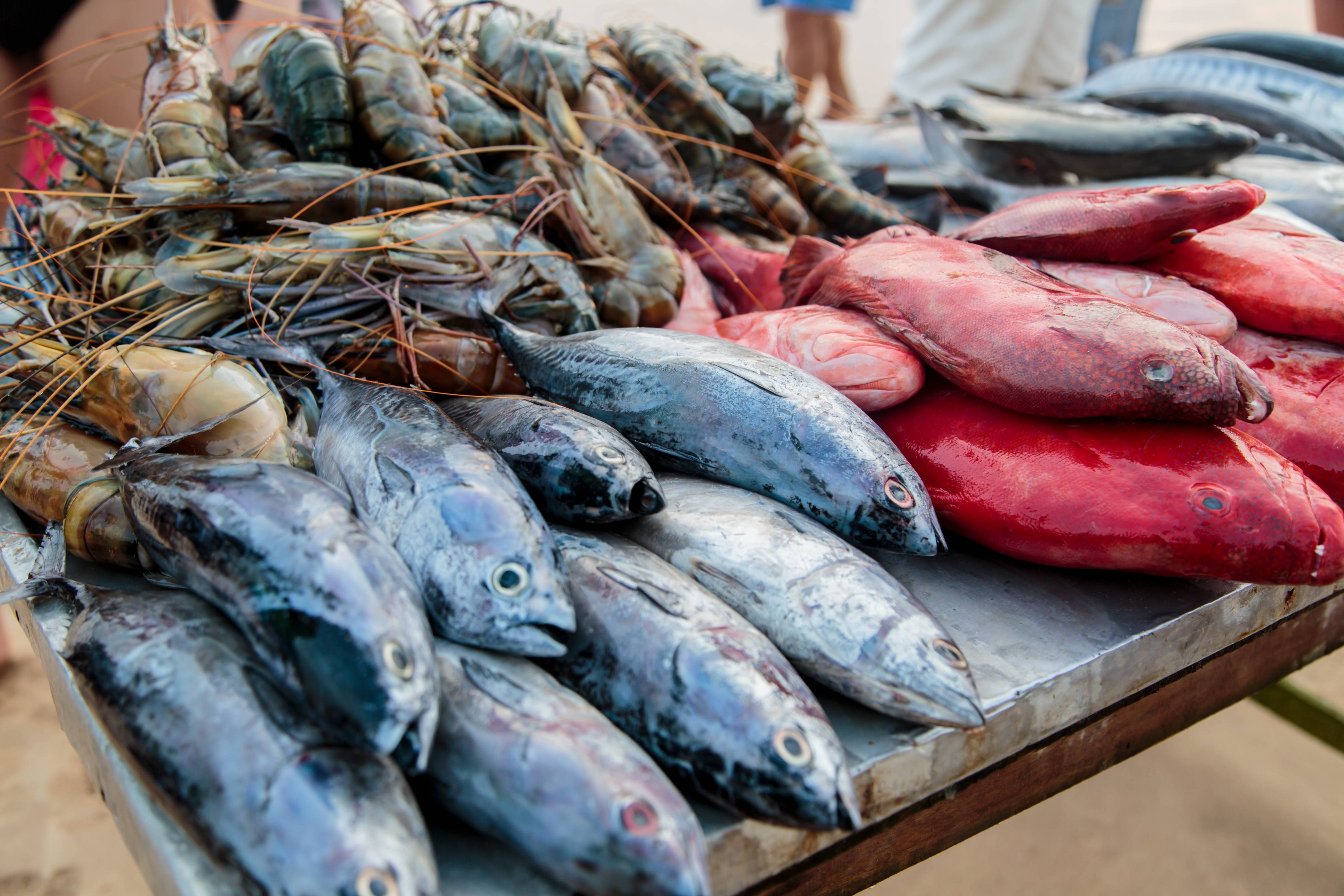 Frozen Seafood